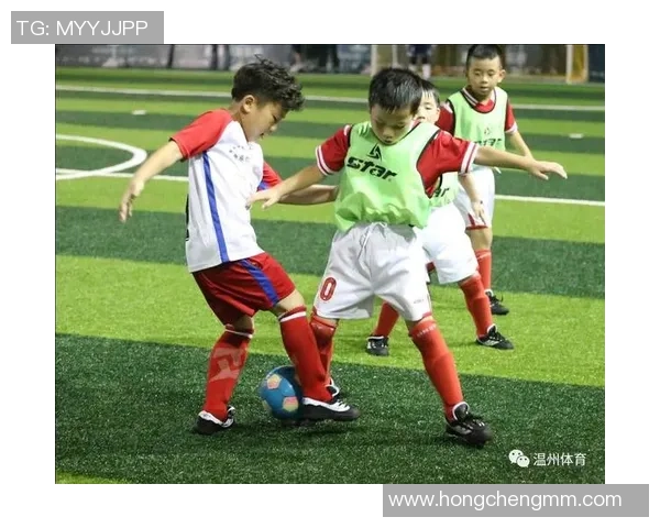 足球分类的多样性探讨与不同类型足球的特点分析